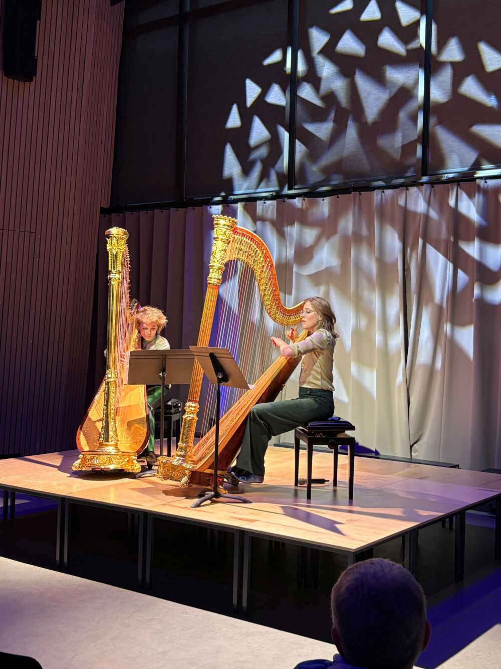 Harfenkonzert im Atrium des Burghardt-Gymnasiums